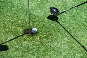 Stick with a ball on an artificial golf course 