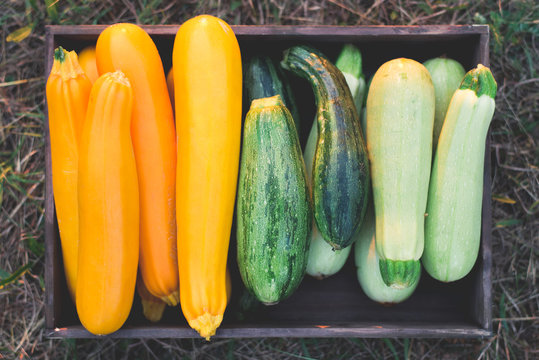 Variety of zucchini in crate