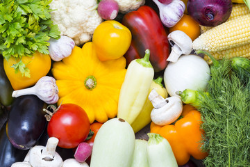 Fresh vegetables tomatoes cucumber squash and greens background close-up