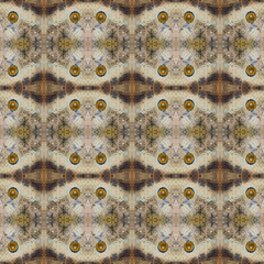 Pattern from texture of butterfly wing for background