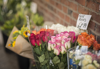 Roses in flower shop