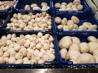 Champignons