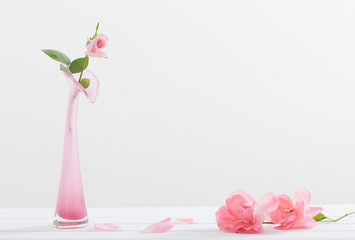 Pink roses in vase on white background