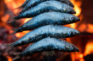 Sardinas