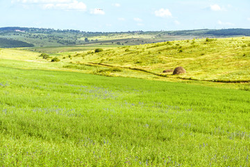 Fototapeta na wymiar Beautiful green fields landscape with hay grass, hills and forest, fantastic summer time, orhei village countryside, moldova, blue sky, winding road