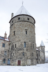 Fototapeta na wymiar Fortress wall of Tallinn