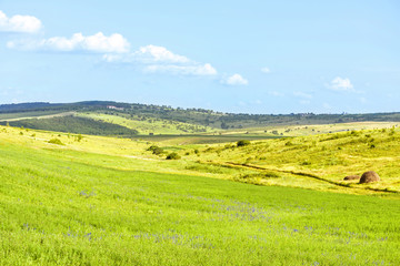 Beautiful green fields landscape with hay grass, hills and forest, fantastic summer time, orhei village countryside, moldova, blue sky, winding road