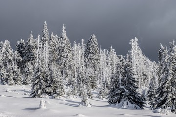 Harz Brocken Winter Schnee Berg Kalt