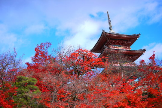 pagoda in autumn