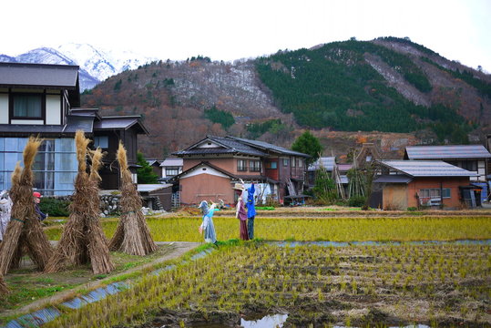 field in rural