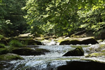 Harz Thale Okertal Berg Felz