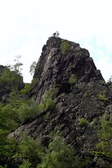 Harz Thale Okertal Berg Felz