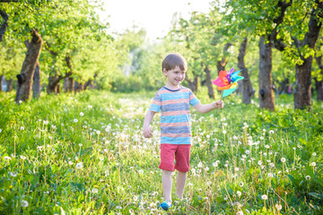 Portrait of a happy cute little boy holding pinwheel at the park