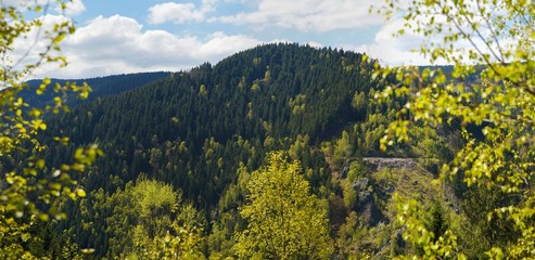 Harz Thale Okertal Berg Felz