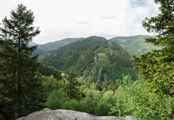 Harz Thale Okertal Berg Felz