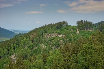 Fototapeta na wymiar Harz Thale Okertal Berg Felz