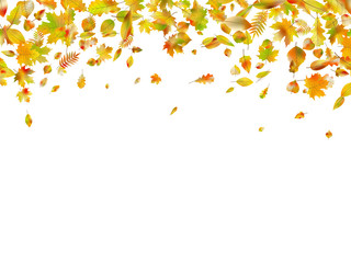 Fototapeta na wymiar Falling autumn leaves. EPS 10 vector