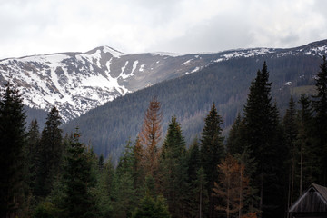 Mountains in the mist