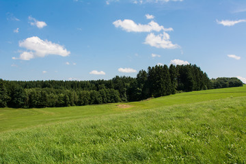 Sommertag in Oberschwaben