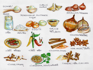 Spices raw materials cooking watercolor painting