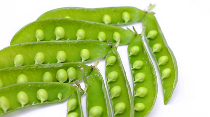 Green peas in pods closeup