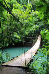 Bridge in the jungle, Costa Rica. Tropical travel. Wanderlust.