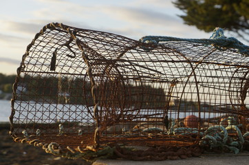 cage for fishing