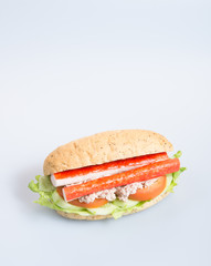 sandwich or health sandwich on the background.