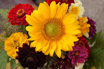 Beautiful sunflower and colorful flowers