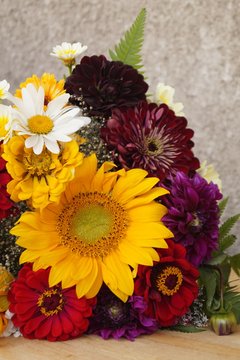 Beautiful sunflower and colorful flowers