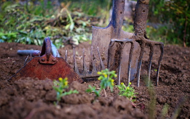 used gardening tools, shallow depth of field, selective focus, lomography effect