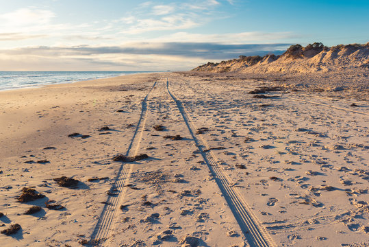 A Trail Of Two Wheels Of A Car Drove Along The Wide Beach Of Adelaide