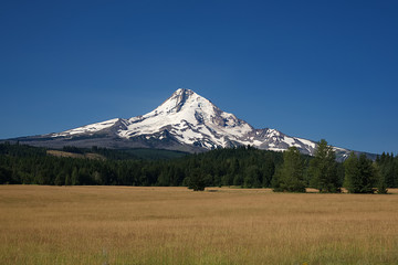 Fototapeta premium Mt. Hood A