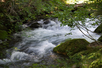 Tamanawas Falls Trail F