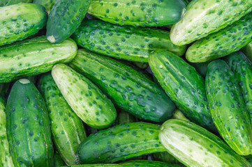 Cucumbers as background.