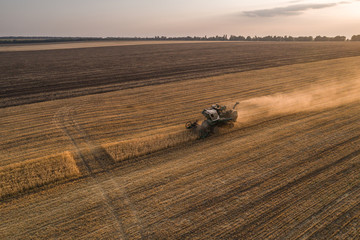 Harvester machine working in field . Combine harvester agriculture machine harvesting golden ripe...