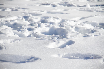 Fototapeta na wymiar Snow covers ground and holes