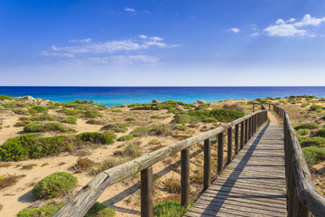 The most beautiful beaches of Italy. Campomarino dune park: fence between sea dunes,Taranto...