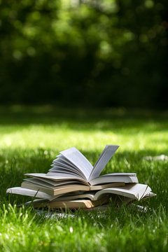open books on grass in a green park