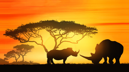 Naklejka premium Rhino at sunset