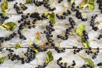 Raw organic black chokeberry on a rustic wooden background