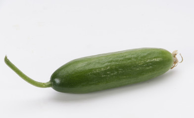 cucumber