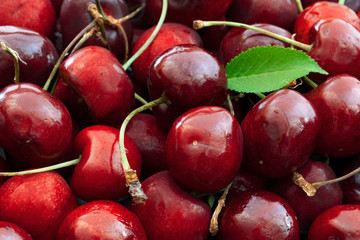 Cherry background, sweet red cherries