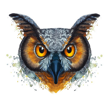 watercolor drawing of mammal animal predator bird owl, vector image, eared owl, night, fast, portrait of owl, yellow eyes, feathers, white background for decoration