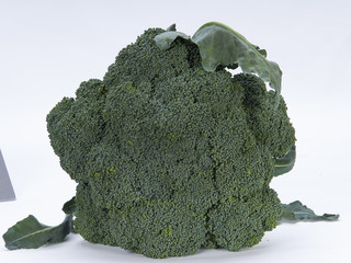white background broccoli