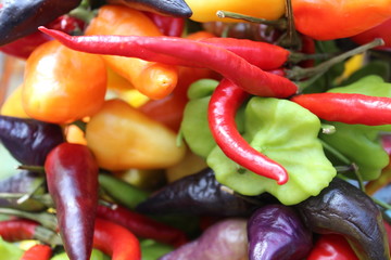 piments sur un marché de Majorque