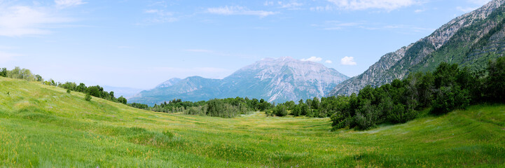 Mountain Meadow © Craig