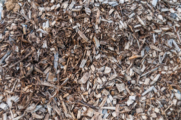 Fototapeta premium dry chips and turnings. texture of wooden debris