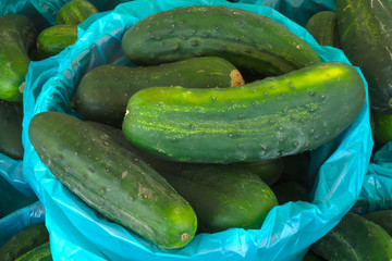littles cucumbers basket at the market geen vegetables food