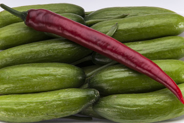 cucumber